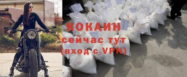винт Абаза
