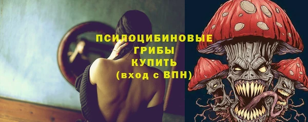 винт Абаза