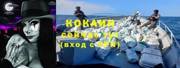 винт Абаза